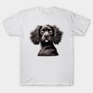 boykin spaniel confused T-Shirt